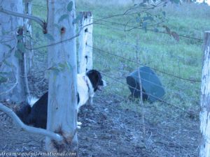 Picture 071